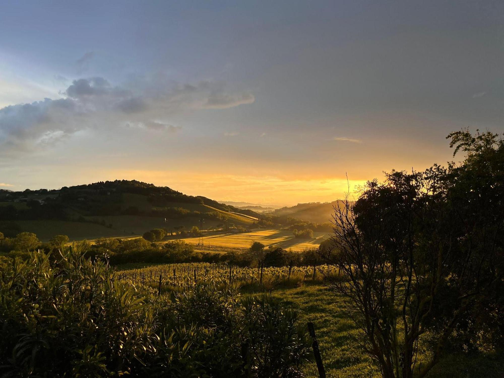 Agriturimo Ca Dorale Villa ฟาโน ภายนอก รูปภาพ