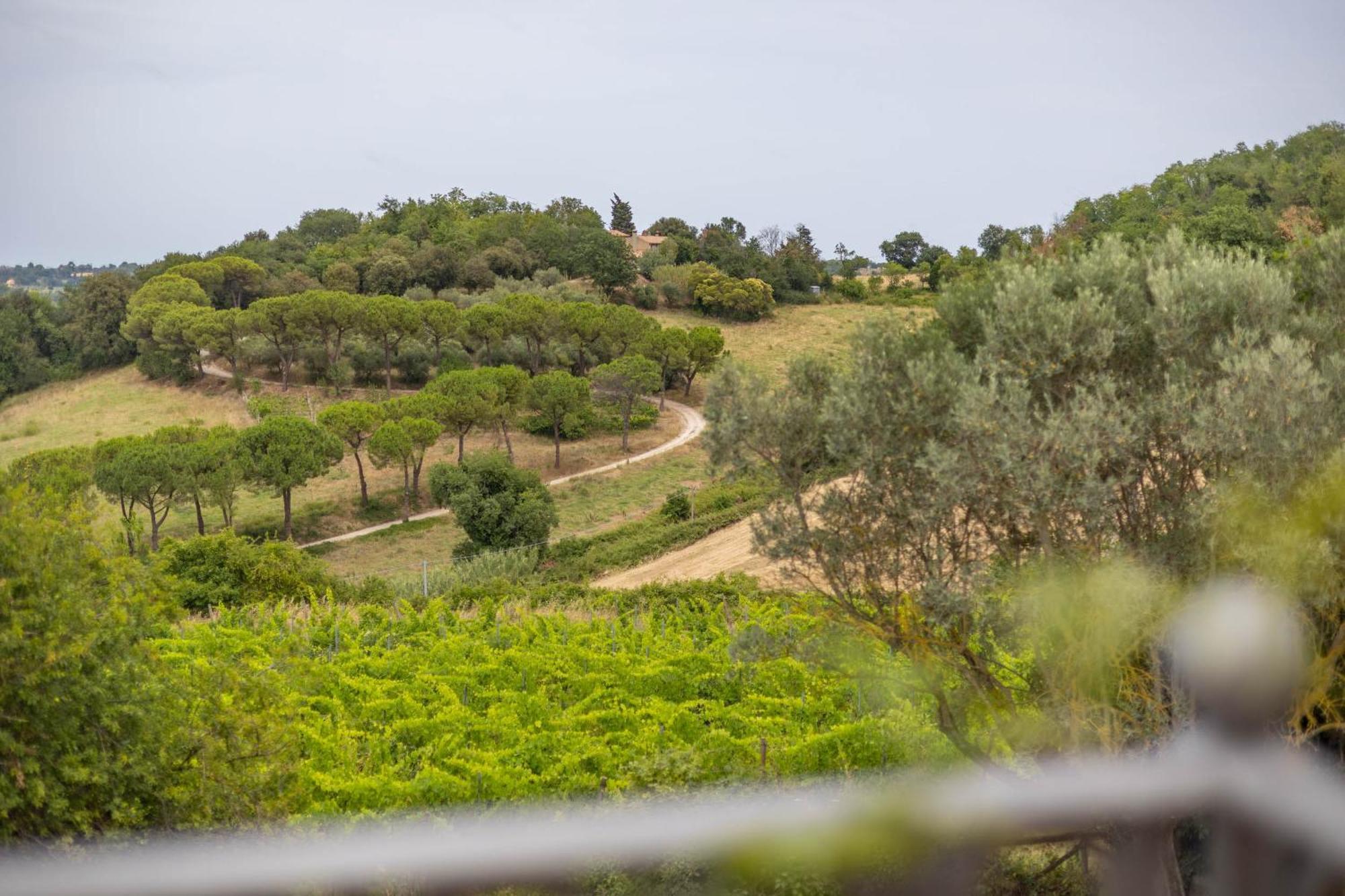 Agriturimo Ca Dorale Villa ฟาโน ภายนอก รูปภาพ